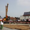 Maibaum 2013
